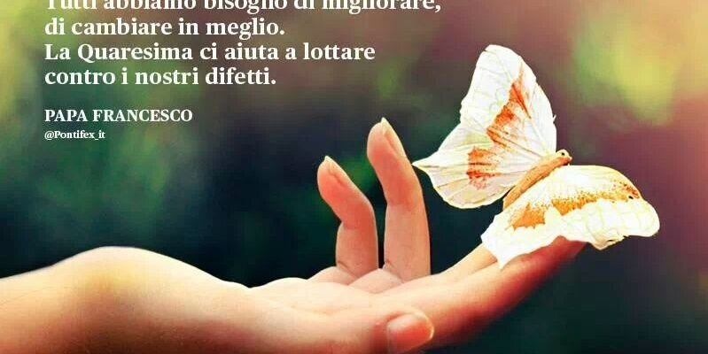 MarjMonti's profile banner image