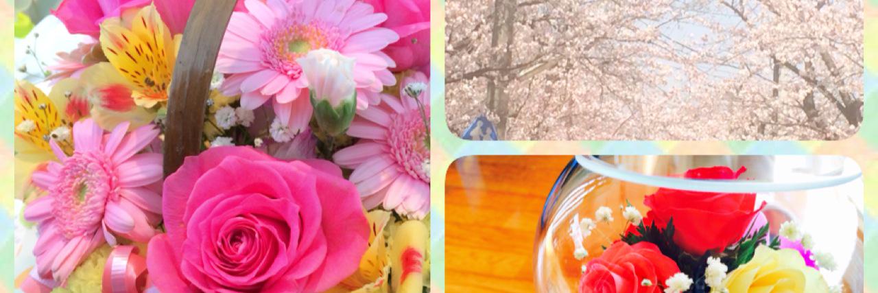m32081348's profile banner image