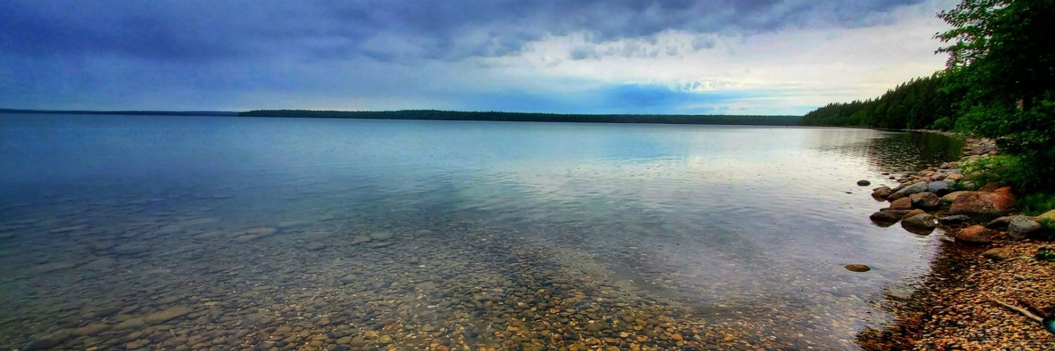 DigB🐦🇨🇦🇩🇰🇺🇦 banner