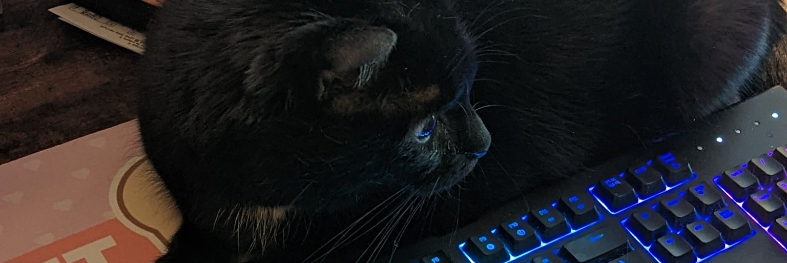 Shaeden_'s profile banner image