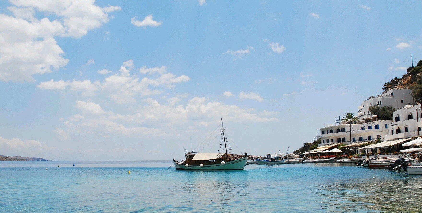 Matteo Alpino banner