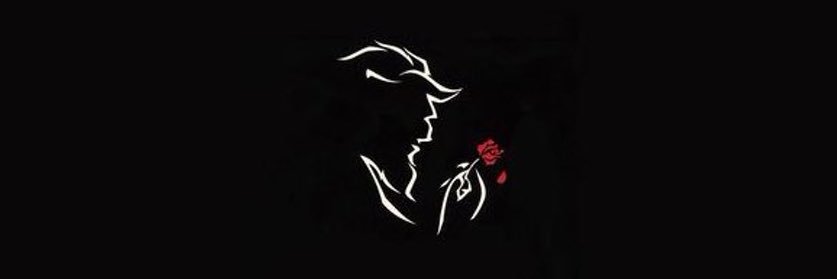 zerlinaselly's profile banner image