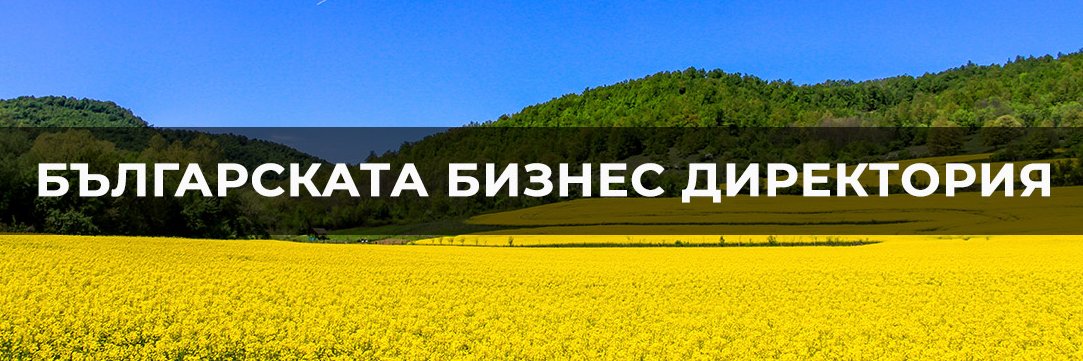 directorybg's profile banner image