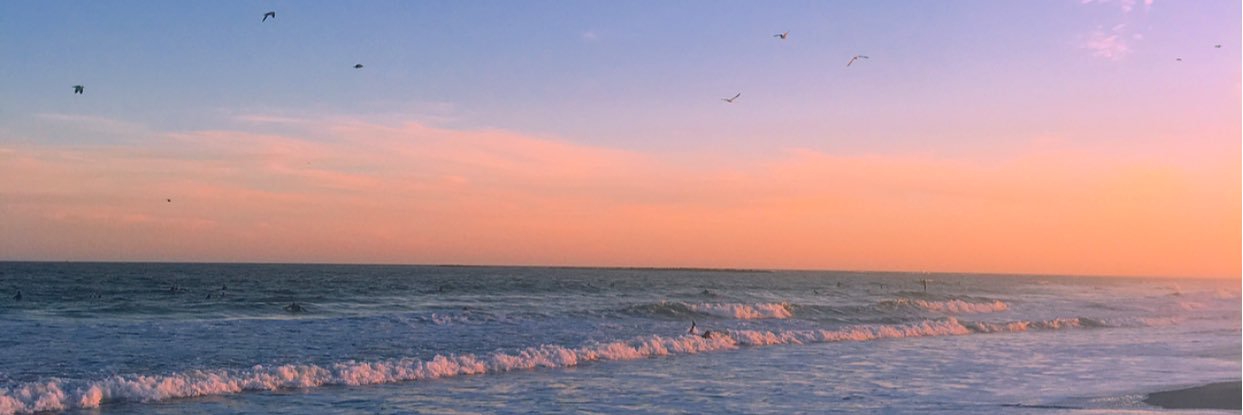 elizabeth_haree's profile banner image
