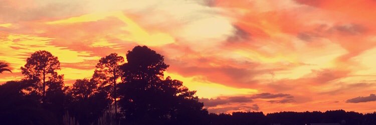 chloelvickers's profile banner image