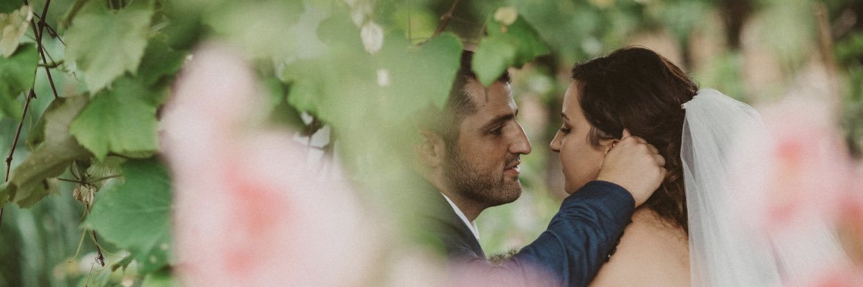 abbeymaria_'s profile banner image