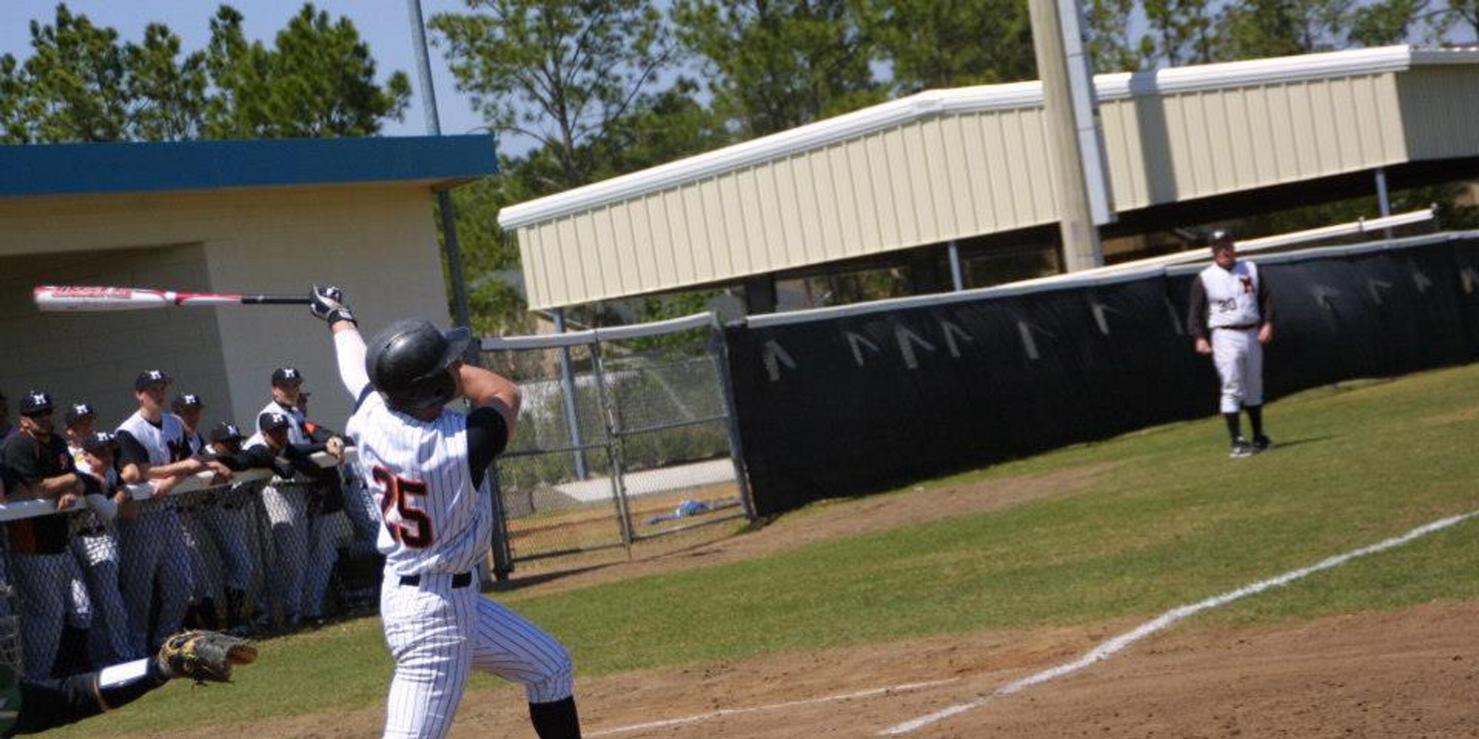 NY Baseball Network banner