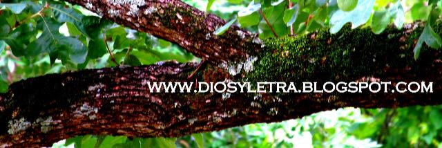 HeydiMasiel's profile banner image