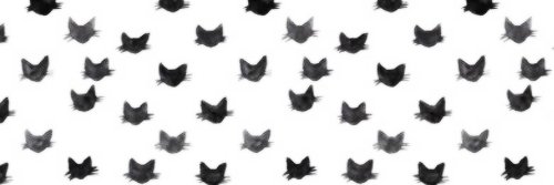 Applesaas's profile banner image