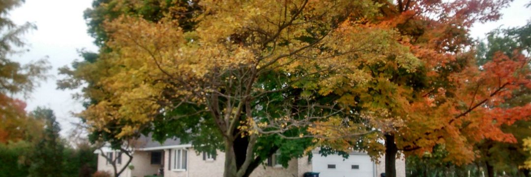 RyanAnthony716's profile banner image