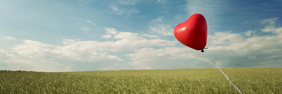 Sallie Butler banner