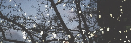 http_ludovica's profile banner image