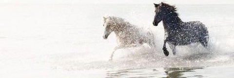 _mbs89's profile banner image