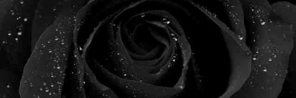 JustwantT's profile banner image