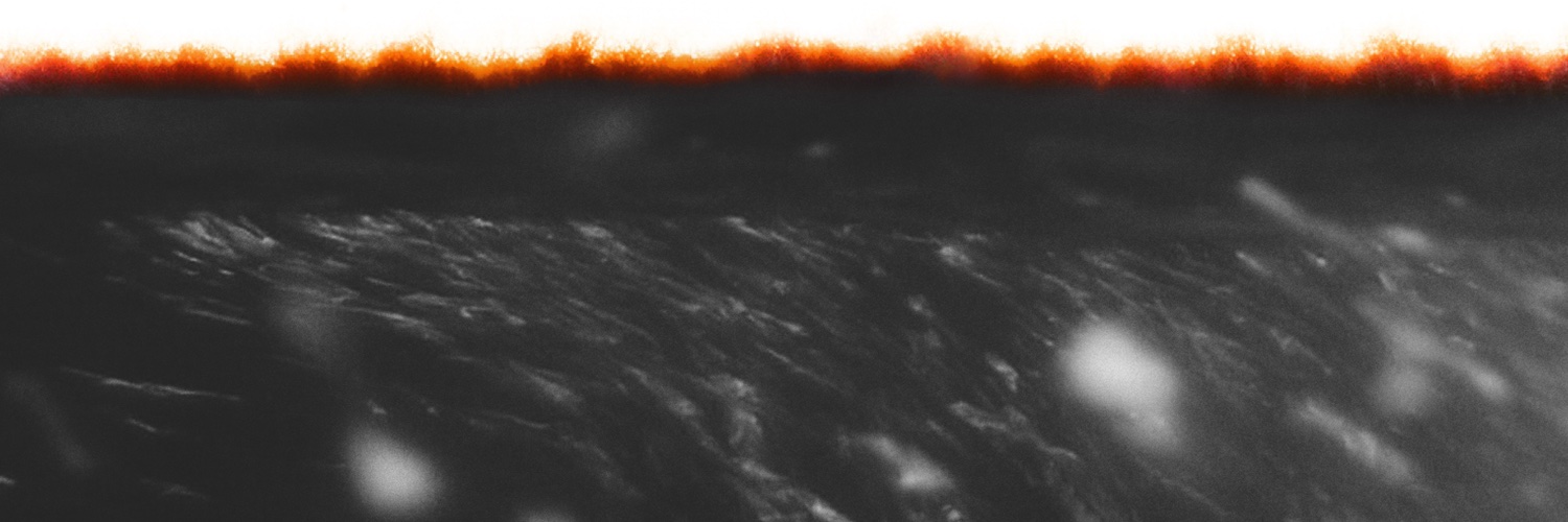 upperlakes's profile banner image