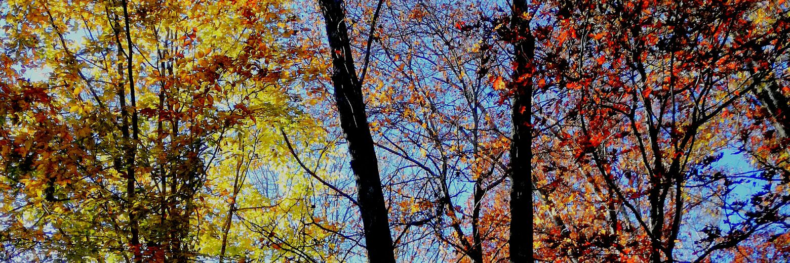 KatherinAlava's profile banner image