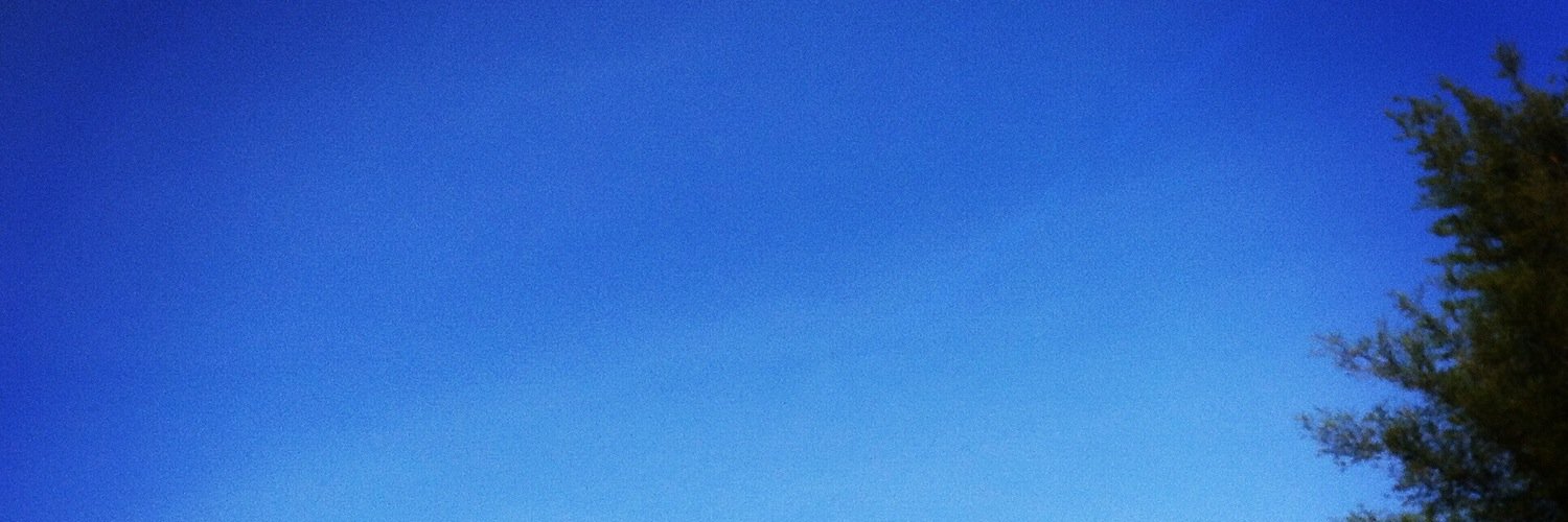 melawanasap's profile banner image