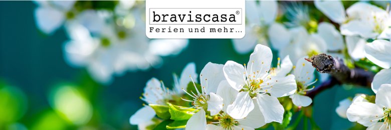 braviscasa's profile banner image