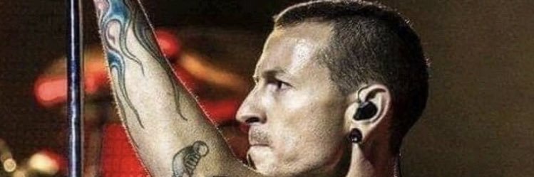 HidebeeSurf's profile banner image