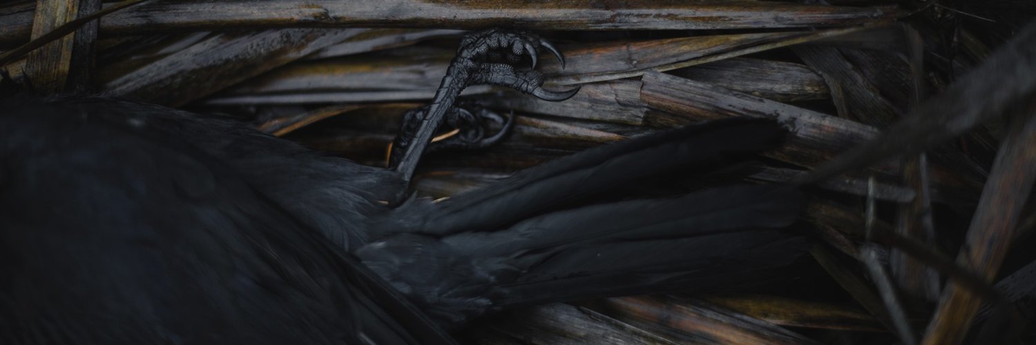 FrostmoonArts's profile banner image