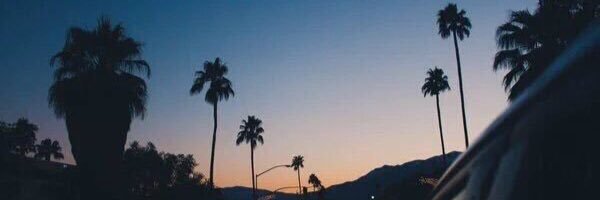 ally___zq's profile banner image