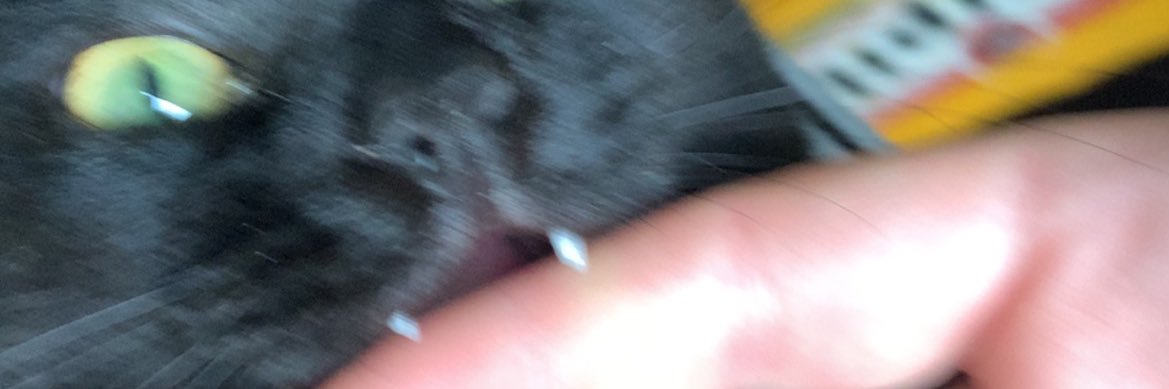L0_jefe's profile banner image
