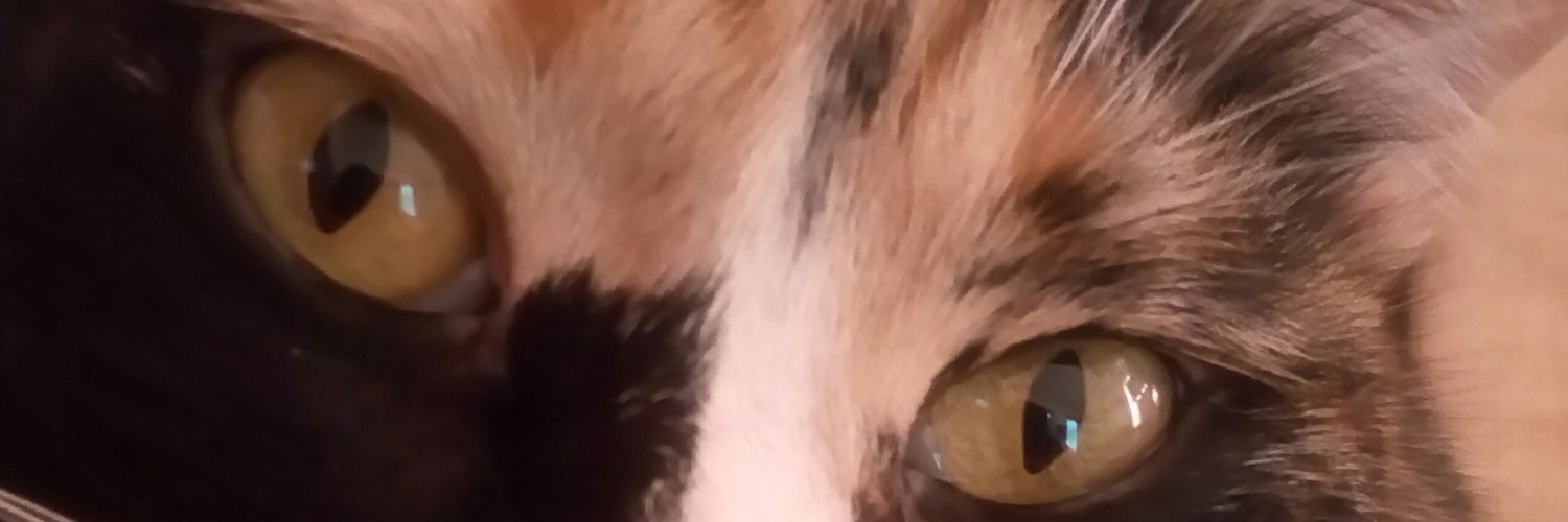 Sandra_Zeraus's profile banner image
