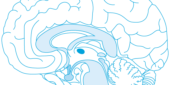 BjrnLockstein's profile banner image