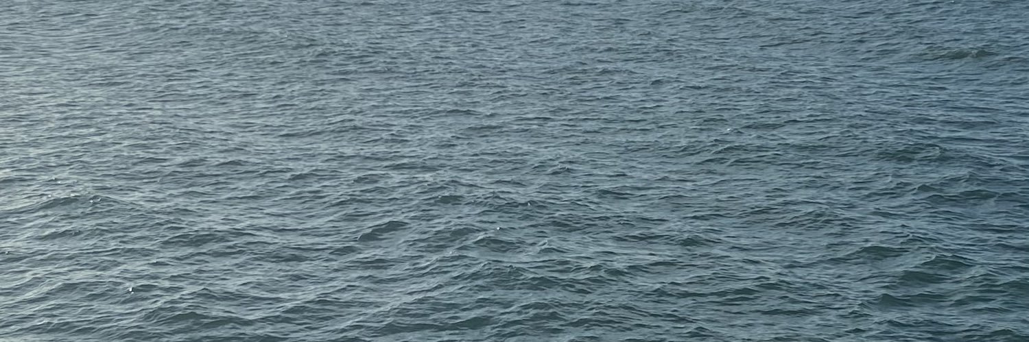 afernandaseixas's profile banner image