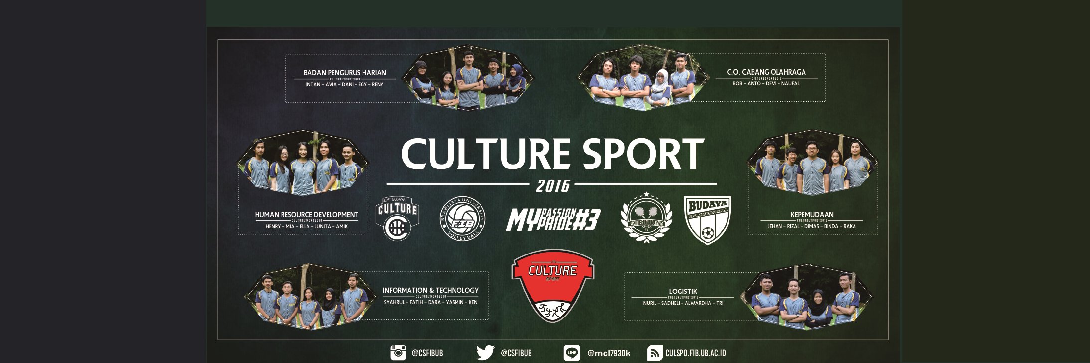 Culture Sport banner