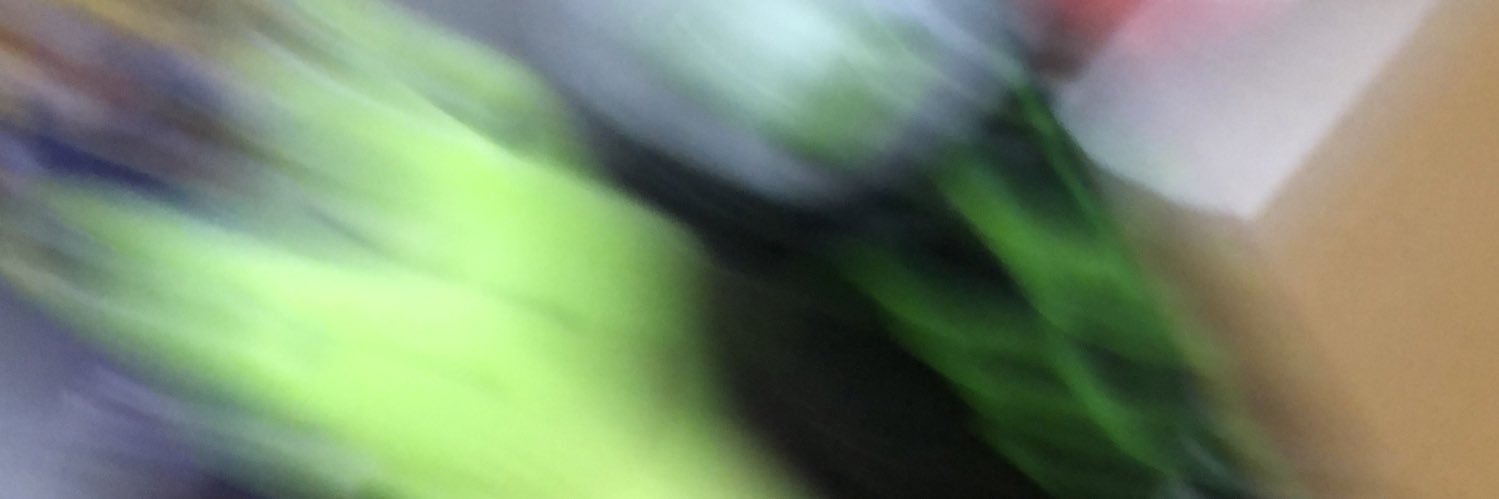 ASCII0x00's profile banner image