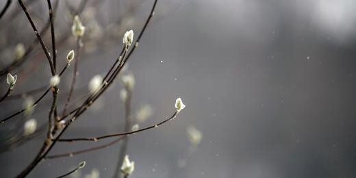 Endagttx's profile banner image