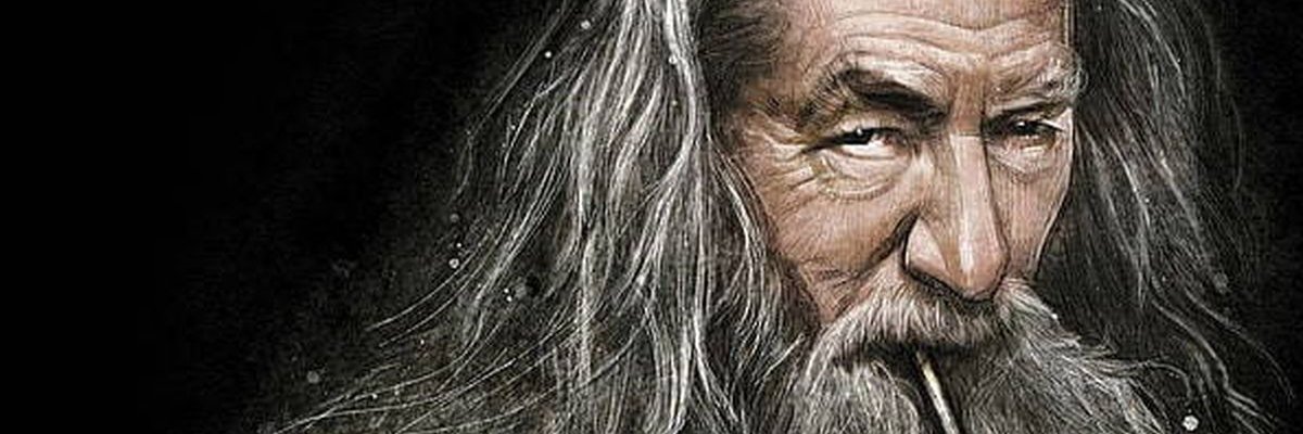 FlacoEncocado's profile banner image