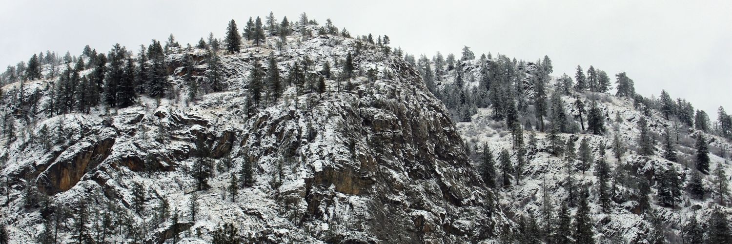 AbbyClaussen's profile banner image
