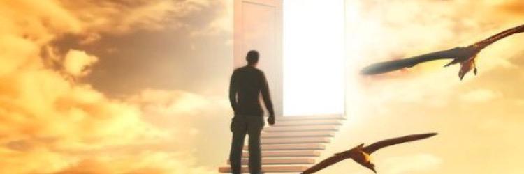 sultan_a900's profile banner image