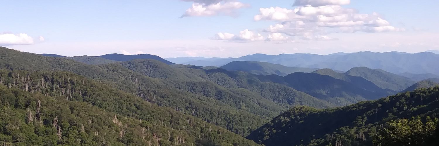 bradleykopydlowski banner