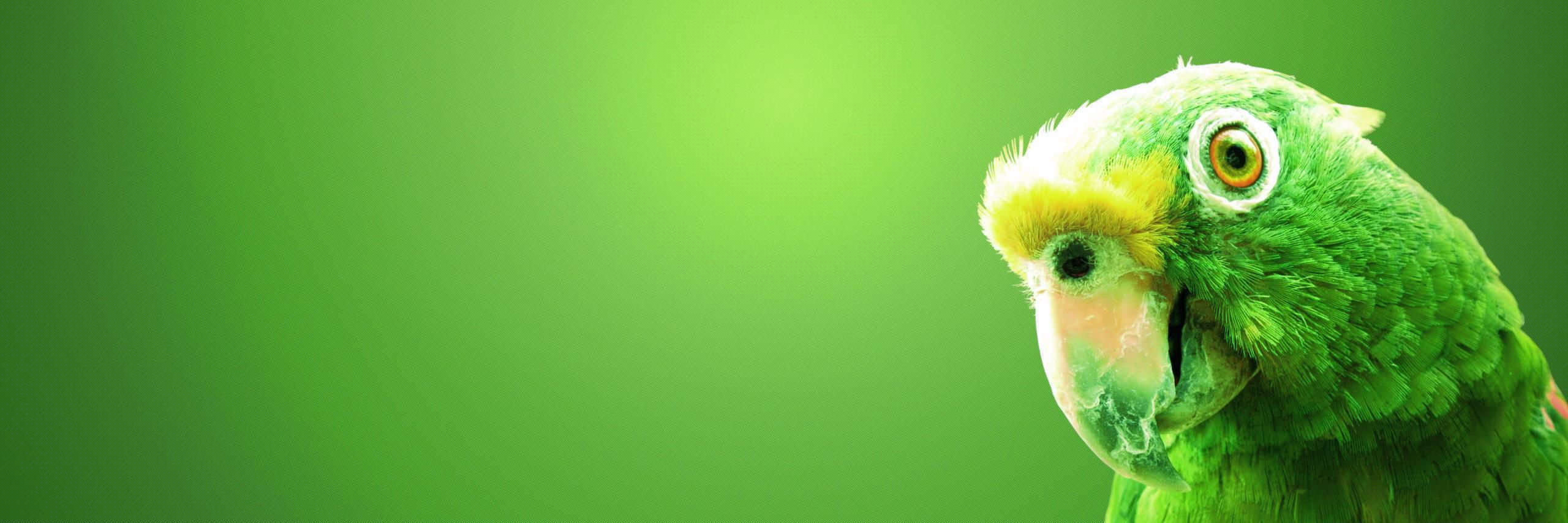 EverythingLED's profile banner image