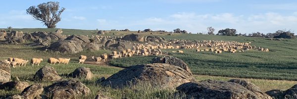 MattDRoberts Profile Banner