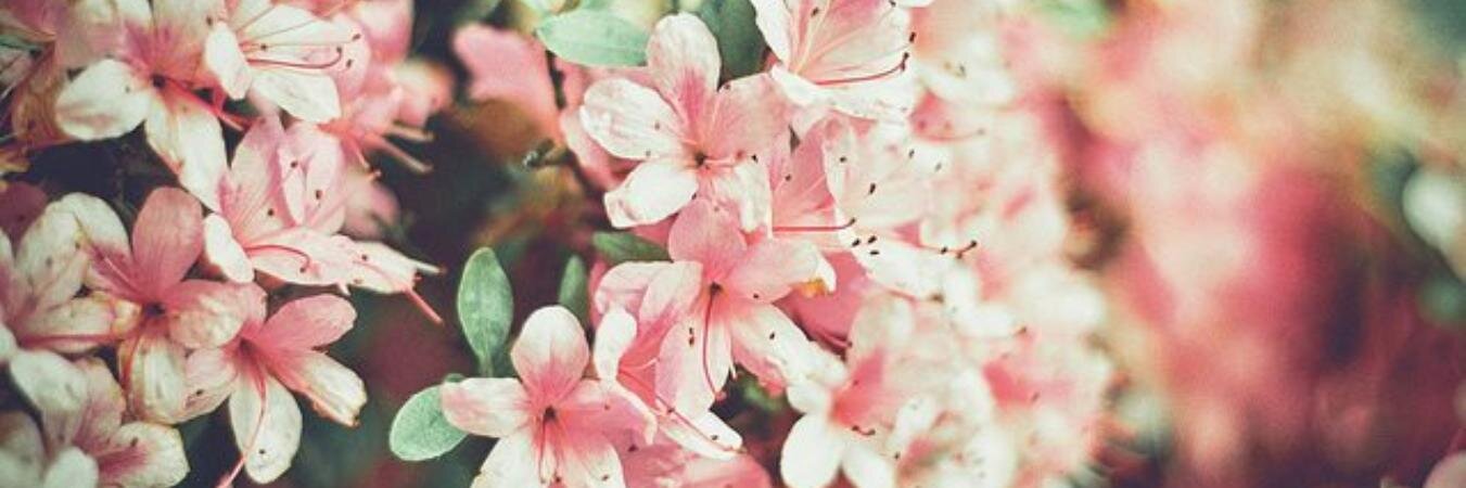 ESRABALABAN10's profile banner image