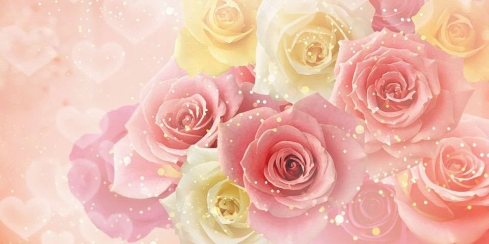 eririn_8200's profile banner image
