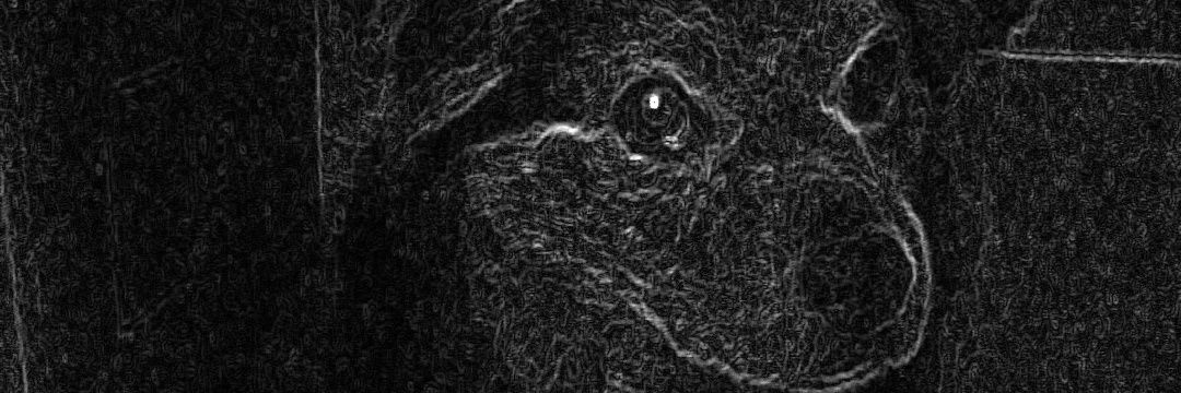 p1ct0's profile banner image