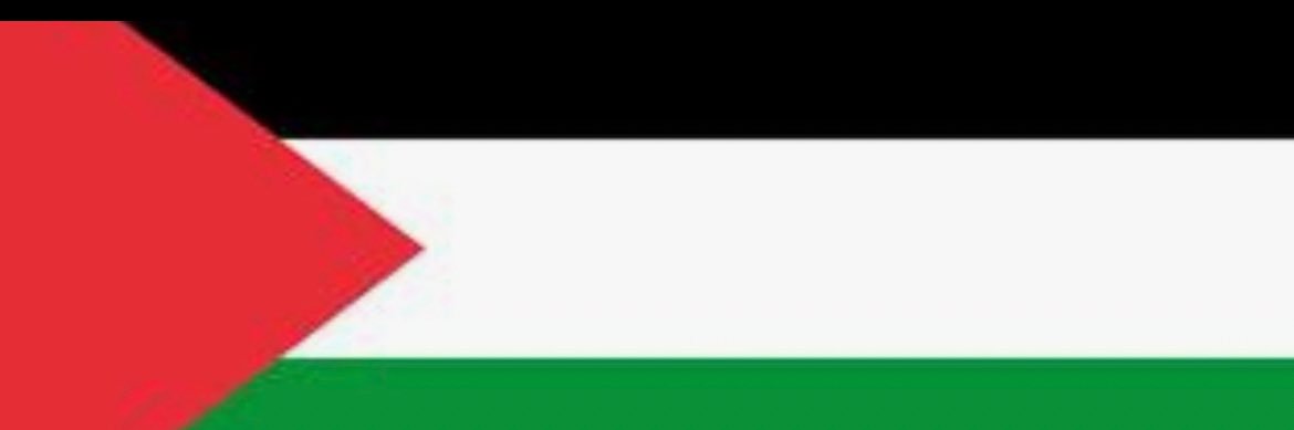 🇵🇸🇱🇧 banner