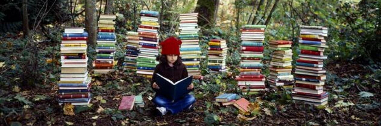 librosfelicesB's profile banner image