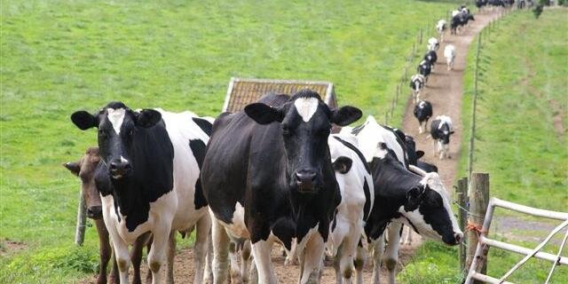 FarmLinkEdu's profile banner image