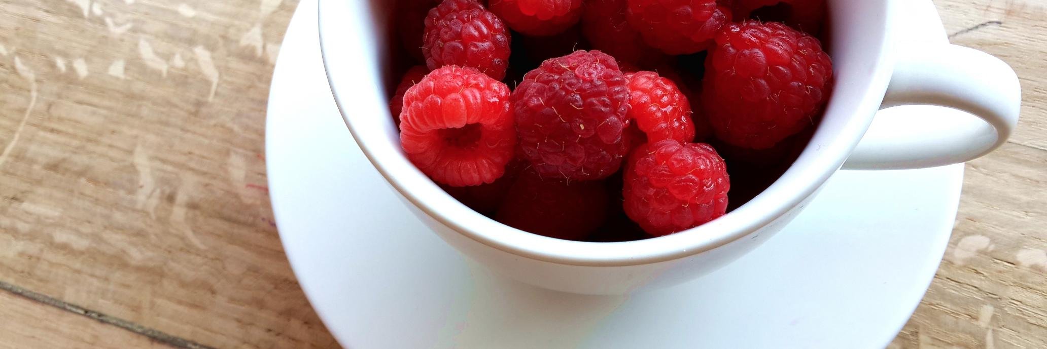 Vanesa Kolodziej banner