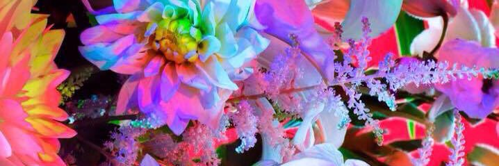 JaneAK619's profile banner image