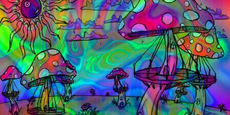 NationPug's profile banner image