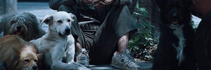 D10SINCHA's profile banner image