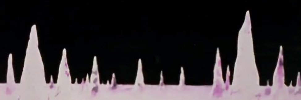 zapblak's profile banner image