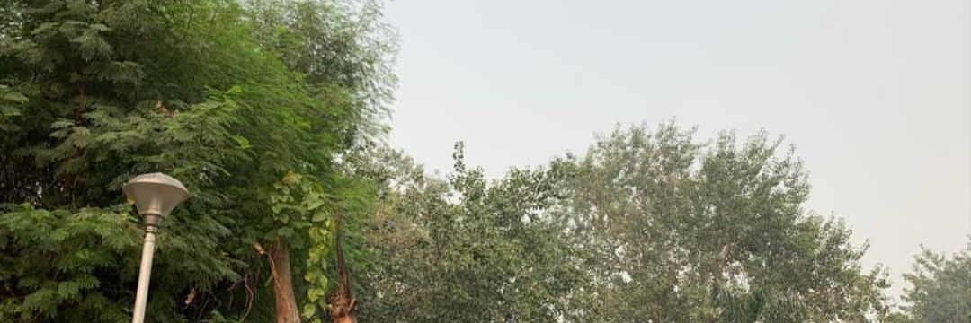 nitin_kumar97's profile banner image